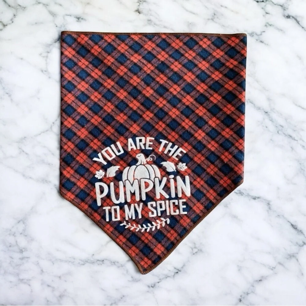 DOG Bandana - You Are The Pumpkin To My Spice - Size L Large